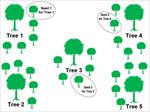 تحقیق-در-مورد-الگوریتم-دانه-درختان