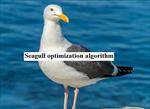بررسی-الگوریتم-بهینه-سازی-مرغ-دریایی-برروی-توابع-پیوسته